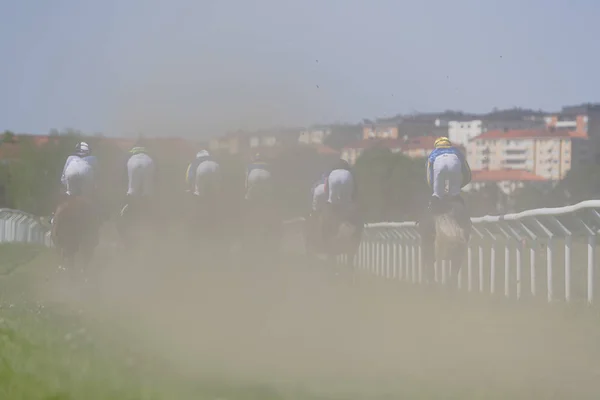 Horseracing during sunny weather at Nationaldagsgaloppen at Gard — Stock Photo, Image