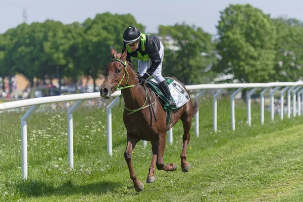 Horseracing during sunny weather at Nationaldagsgaloppen at Gard — Stock Photo, Image