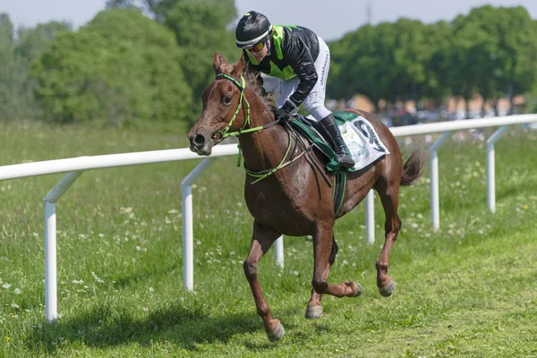 Horseracing during sunny weather at Nationaldagsgaloppen at Gard — Stock Photo, Image