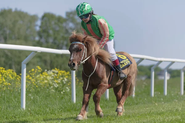 Ponnyracing během slunečného počasí v Nationaldagsgaloppen at Gard — Stock fotografie