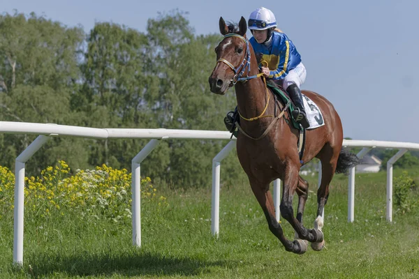 Horseracing during sunny weather at Nationaldagsgaloppen at Gard — Stock Photo, Image