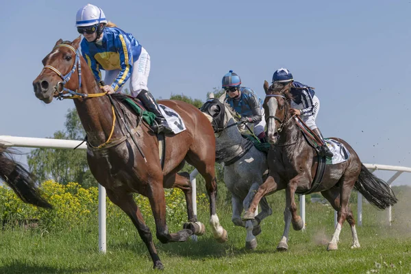 Horseracing during sunny weather at Nationaldagsgaloppen at Gard — Stock Photo, Image