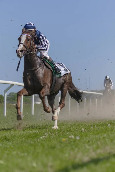 Horseracing during sunny weather at Nationaldagsgaloppen at Gard — Stock Photo, Image