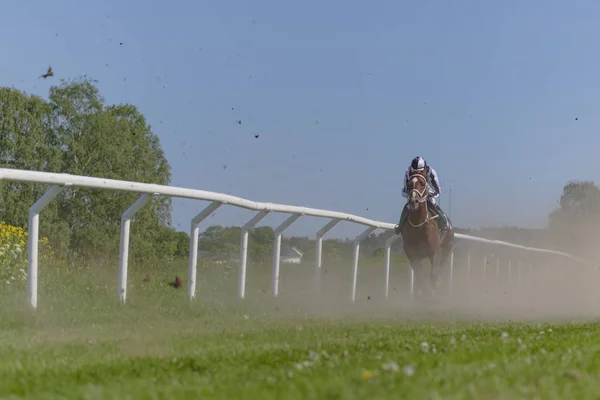 Horseracing podczas słonecznej pogody w Nationaldagsgaloppen at Gard — Zdjęcie stockowe