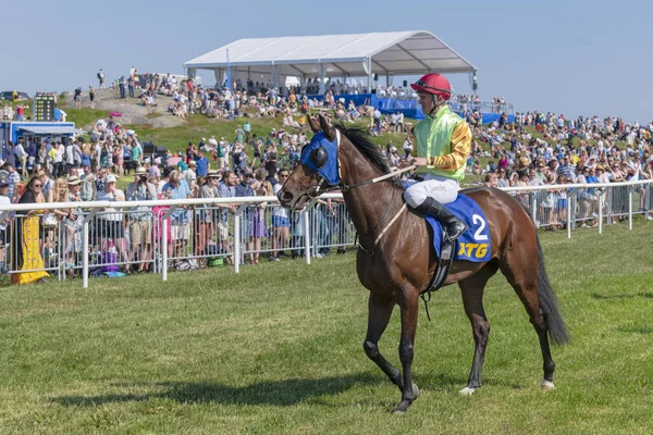 Horseracing during sunny weather at Nationaldagsgaloppen at Gard — Stock Photo, Image