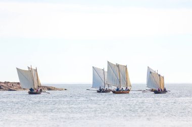 Grisslehamn ve Eckero arasında klasik posta kürek yarışması 