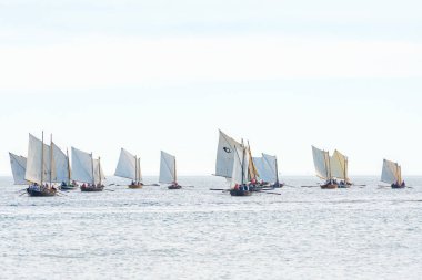 Grisslehamn ve Eckero arasında klasik posta kürek yarışması 