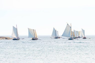 Grisslehamn ve Eckero arasında klasik posta kürek yarışması 