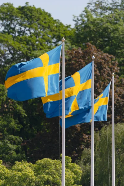 Tres banderas suecas en azul y amarillo soplando en el viento con — Foto de Stock