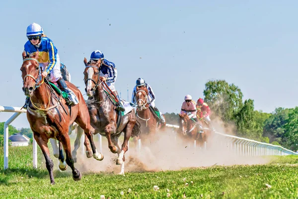 Horseracing durante o tempo ensolarado em Nationaldagsgaloppen em Gard — Fotografia de Stock