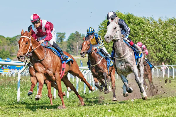 Horseracing during sunny weather at Nationaldagsgaloppen at Gard — Stock Photo, Image