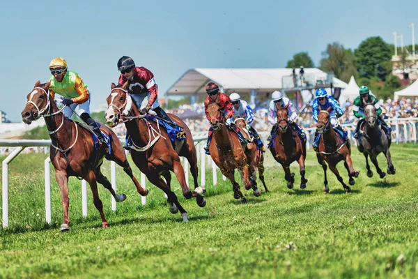 Horseracing during sunny weather at Nationaldagsgaloppen at Gard — Stock Photo, Image