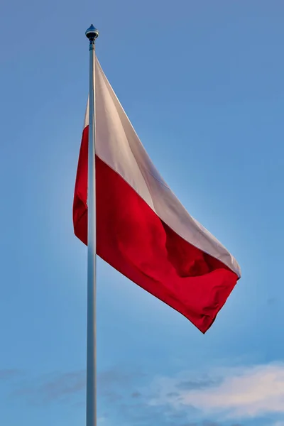 Polska flaggan i röda och vita färger vinka i kvällssolen — Stockfoto