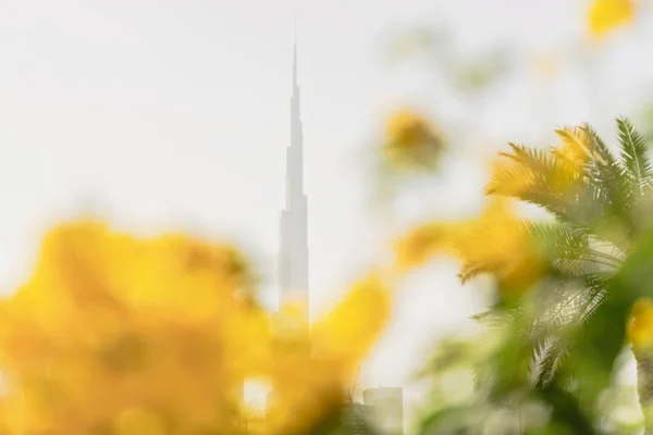 Vista colorida de Burj Khalifa a través de flores amarillas desenfocadas i —  Fotos de Stock