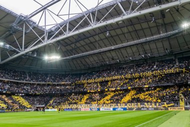 Solna'daki Friends Arena'da Aik ve Dif arasında futbol derbisi