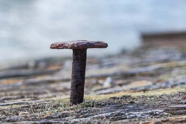 Old retro handmade nail in weathered wood — Stock Photo, Image