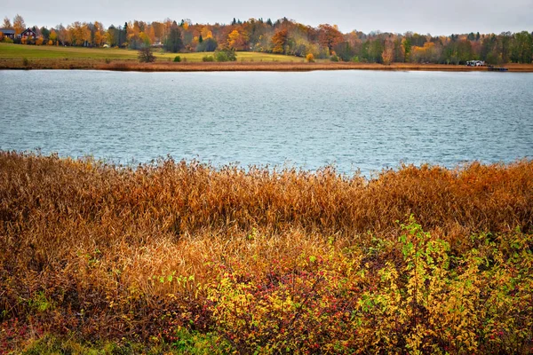 Podzimní krajina během vlhkého a deštivého dne se skvělými barvami — Stock fotografie