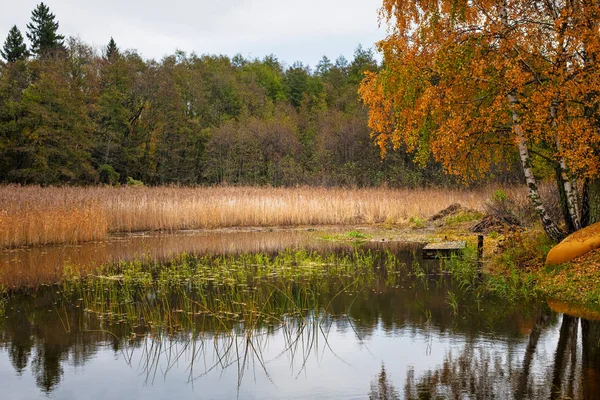 Yellow canoe stranded at the coast in vivid autumn colors, refle — Stok fotoğraf