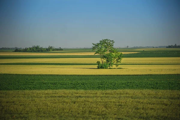 Kırsal Plough arazi peyzaj
