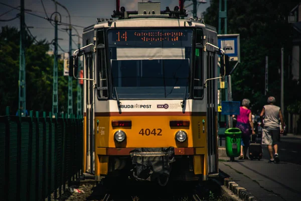 Yellow Tram-Budapeşte toplu transfer