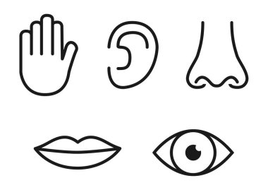 Anahat Icon set beş insan duyu: vizyon (göz), koku (burun), işitme (kulak), dokunmatik (el), tat (ağız dili).