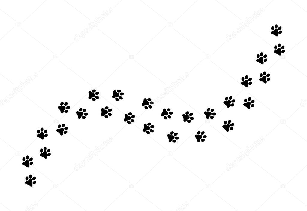 Paw vector  foot trail print of cat. Dog, silhouette animal diagonal track .