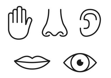 Anahat Icon set beş insan duyu: vizyon (göz), koku (burun), işitme (kulak), dokunmatik (el), tat (ağız dili).
