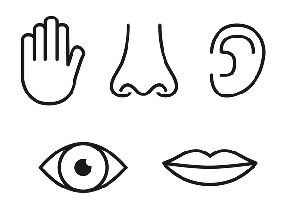 Conjunto de iconos de cinco sentidos humanos: visión (ojo), olfato (nariz), oído (oído), tacto (mano), gusto (boca con lengua ) — Vector de stock