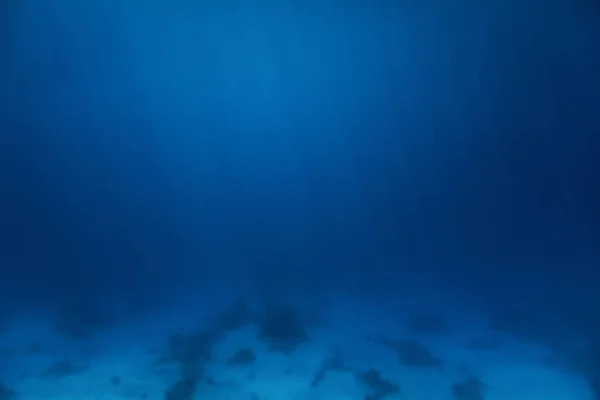 Podwodne tło ciemnoniebieskie dna morskiego — Zdjęcie stockowe