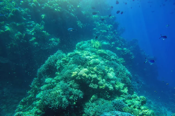 Синій глибоководних підводний фону — стокове фото