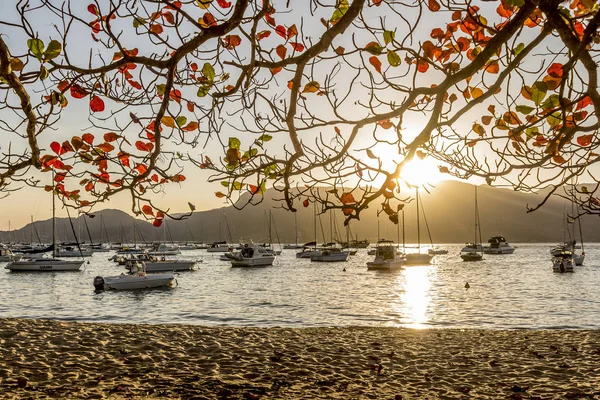 Barcos Atardecer Tranquila Playa Ilhabela Brasil — Foto de Stock