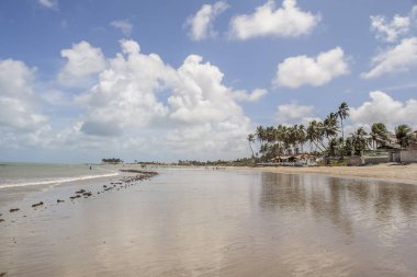 Beachfront, Hindistan cevizi ağaçları ve plaj evleri şehir Natal Brezilya'da