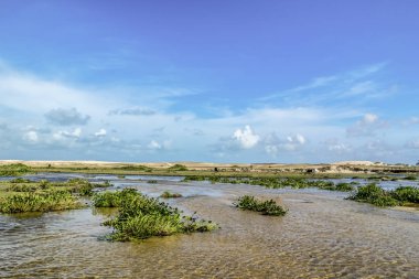 Kumullar ve Brezilya Natal şehrinde deniz birlikte ve mavi gökyüzü manzara 