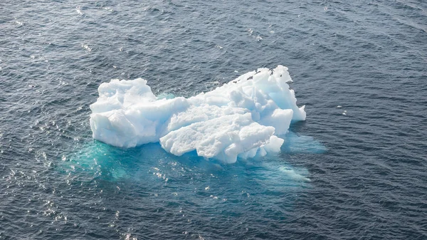 Gros Plan Sur Iceberg Dans Baie Antarctique — Photo