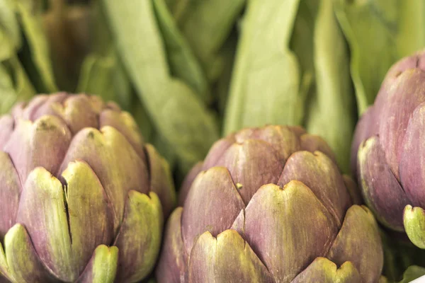 Close up of fresh italian artichokes at fair