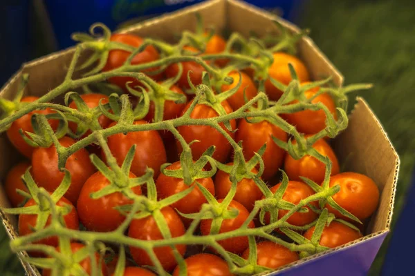 Zbliżenie: pomidory — Zdjęcie stockowe