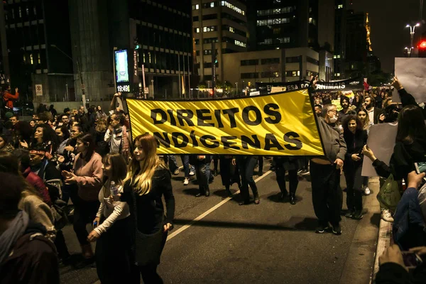 São Paulo Brasil 08 23 2019 Pessoas nas ruas protestando pela preservação da Amazônia — Fotografia de Stock