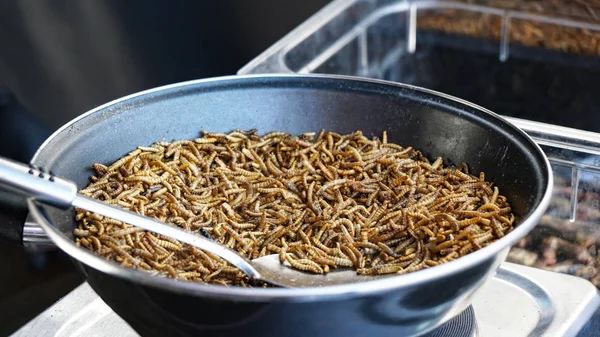 Fried mealworms at street food market — Stock Photo, Image