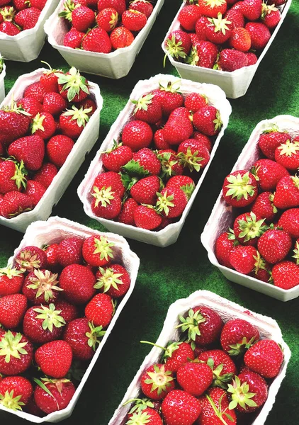 Strawberries for sale at market — Stock Photo, Image