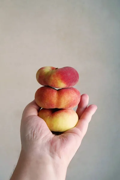 Hand holding stack of flat peaches — Stock Photo, Image