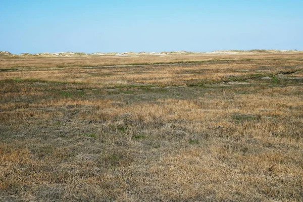 Marsh de sal e dunas de areia na costa do mar do norte alemão — Fotografia de Stock