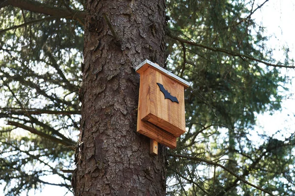 木のバットボックス — ストック写真