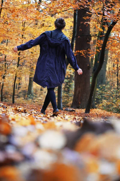 Rear view of woman enjoying autumn walk in forest — Stock Photo, Image