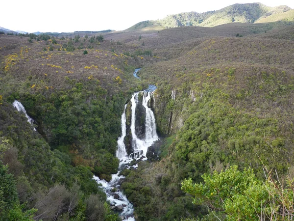 Şelale orman, Yeni Zelanda