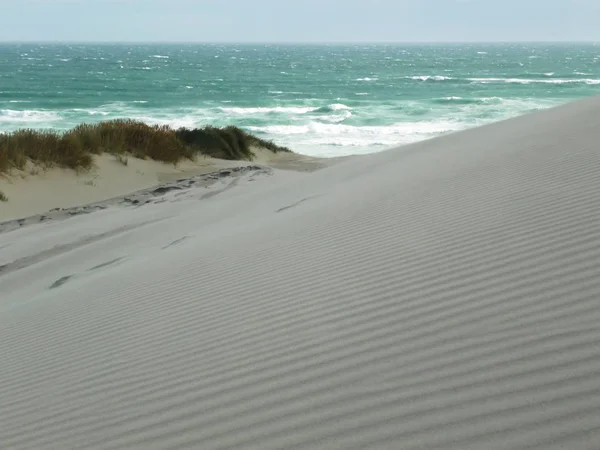 Kum tepeleri Beach, Yeni Zelanda