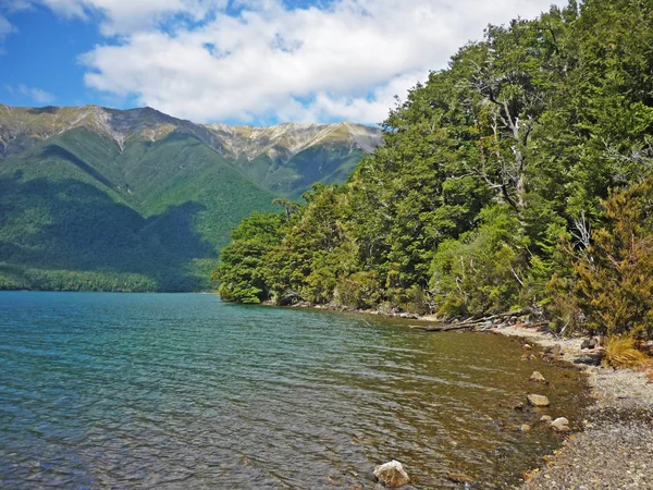 Nelson Gölleri Milli Parkı, Yeni Zelanda gölde boyunca trekking