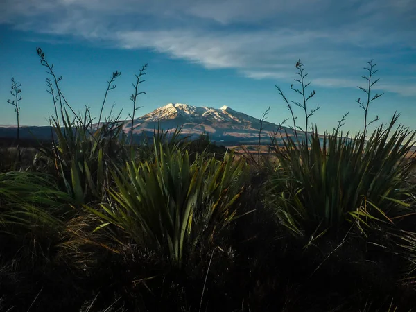 Hermosa Montaña Del Monte Ruapehu Día Soleado Isla Norte Nueva — Foto de Stock