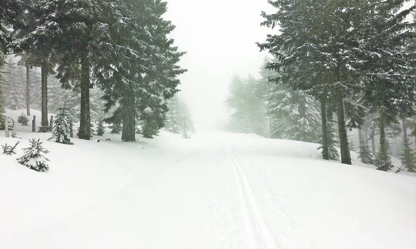 Cross Country Ski Track Mountains — Stock Photo, Image