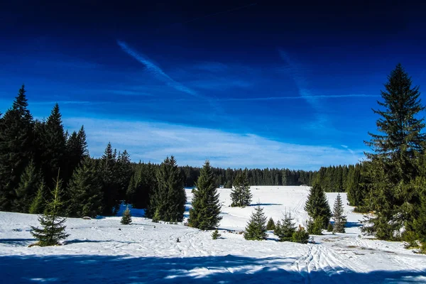Sumava 山脈の山の草原の雪 チェコ共和国 — ストック写真