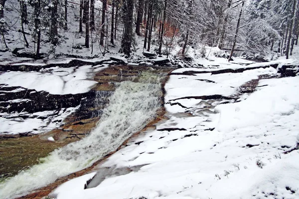 Krkonose Dağları karlı ormanında akarsu